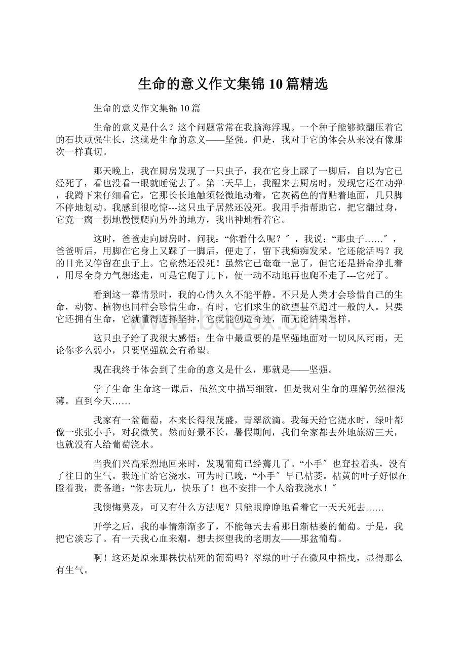 生命的意义作文集锦10篇精选Word文档下载推荐.docx