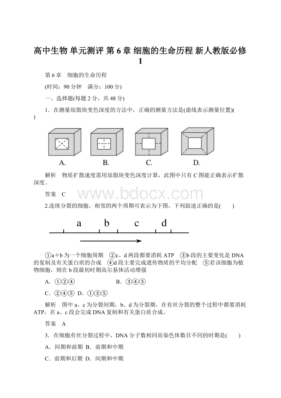 高中生物 单元测评 第6章 细胞的生命历程 新人教版必修1Word文档下载推荐.docx