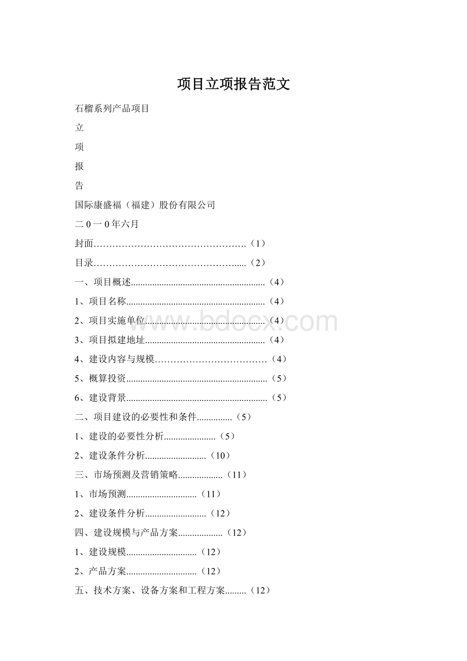 项目立项报告范文.docx