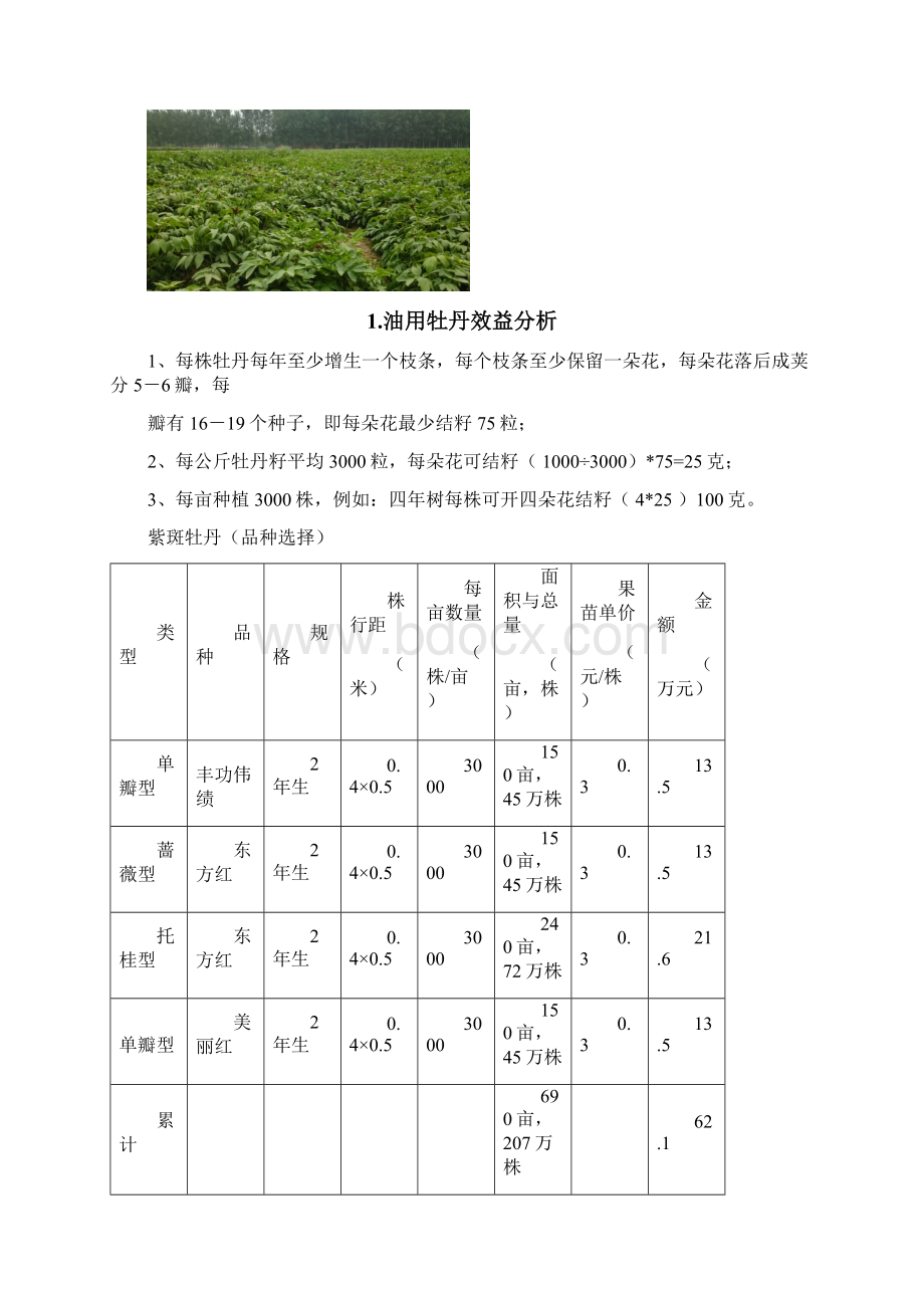 农业科技生态园种植建设可行性分析报告.docx_第3页