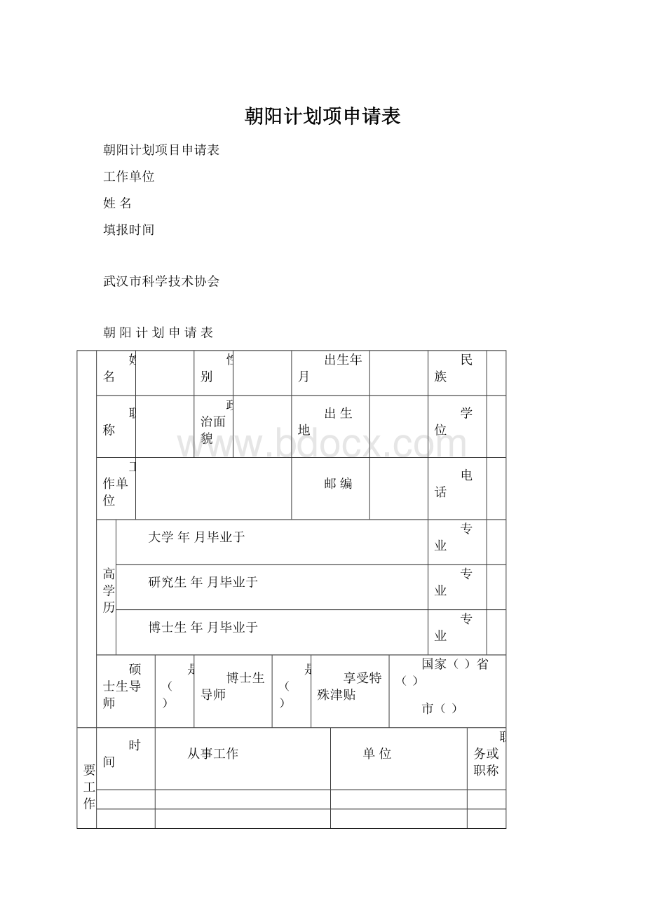 朝阳计划项申请表.docx_第1页