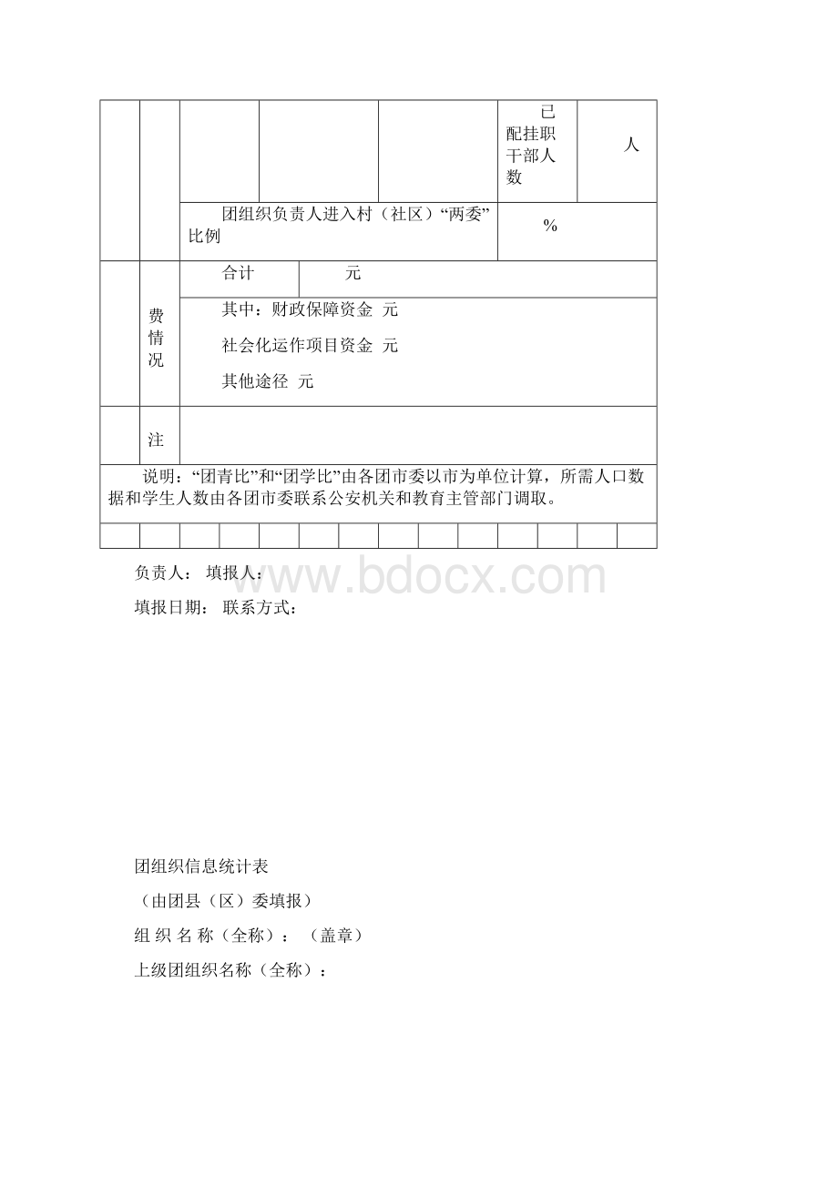 团组织信息统计表.docx_第3页