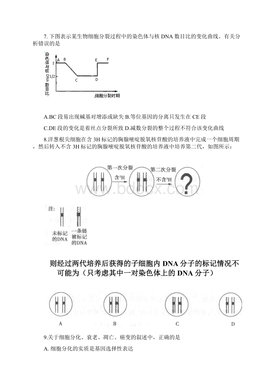 山东省宁阳第四中学届高三暑假补习班终结考试生物试题 Word版含答案Word文档格式.docx_第3页