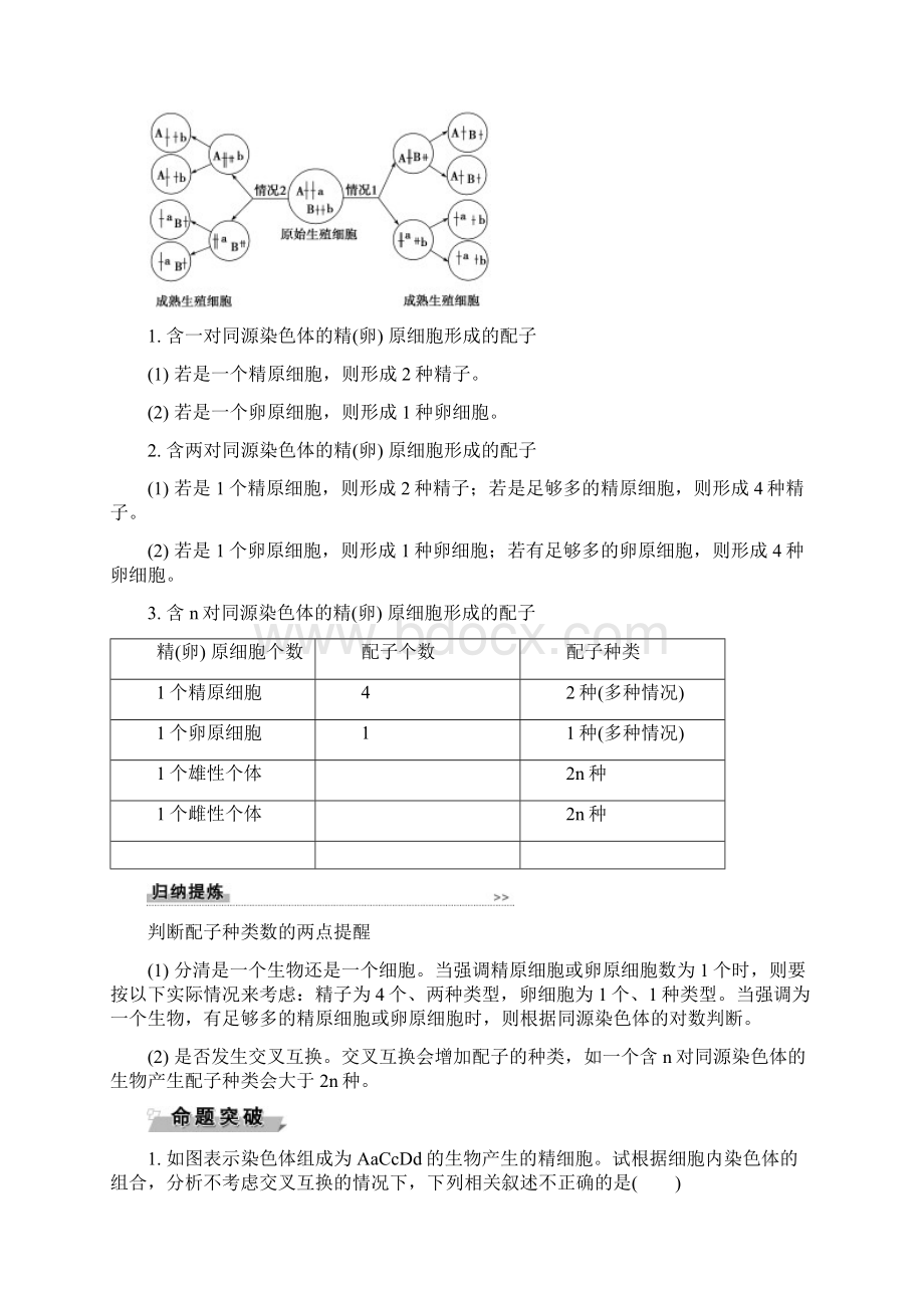 精选高中生物第二章基因和染色体的关系第1节减数分裂和受精作用Ⅲ导学案新人教版必修2.docx_第3页