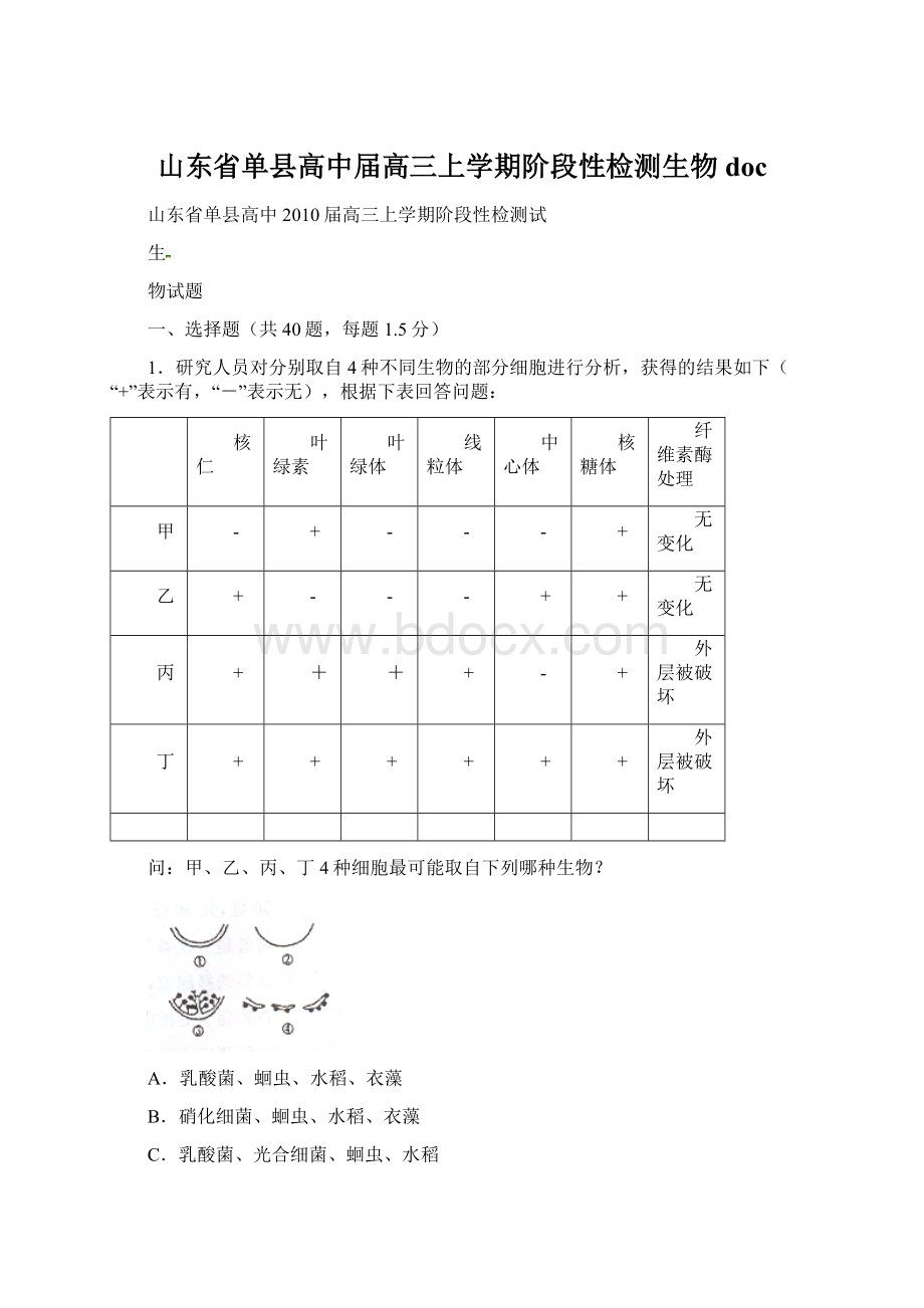 山东省单县高中届高三上学期阶段性检测生物 doc.docx_第1页