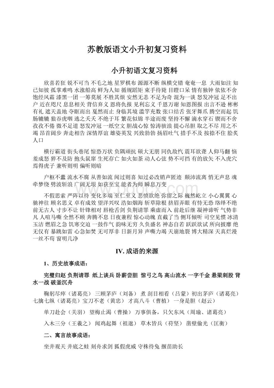 苏教版语文小升初复习资料.docx