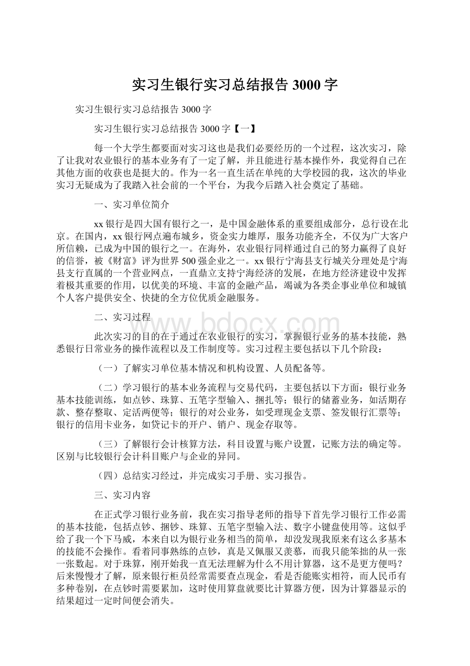 实习生银行实习总结报告3000字文档格式.docx