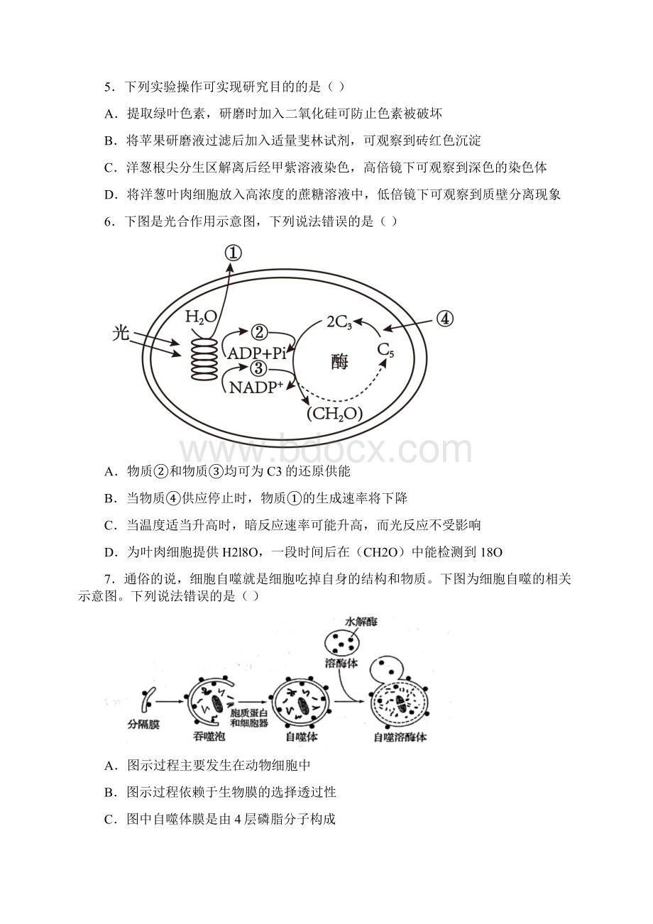 山东省日照市学年高一下学期期末生物试题 1含答案解析.docx_第2页