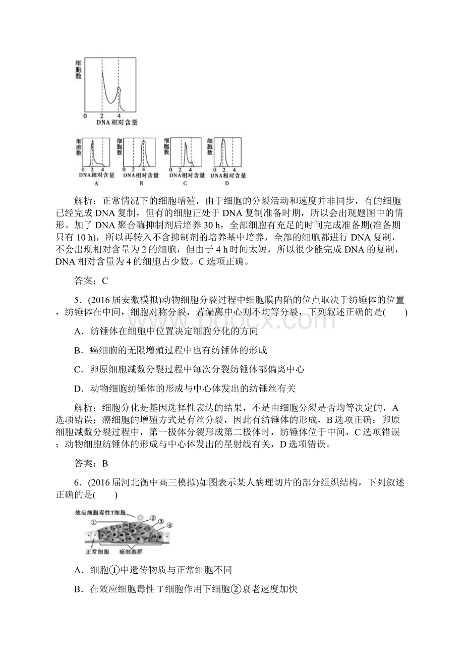 骄子之路高考生物一轮复习 阶段综合测评4 第四单元 细胞的生命历程.docx_第3页