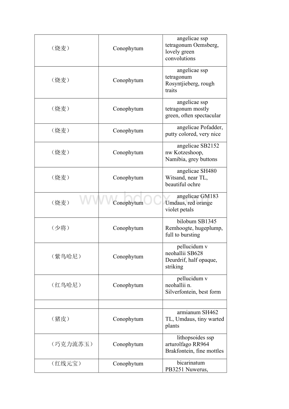 mesa肉锥种子中英文对照Word下载.docx_第2页