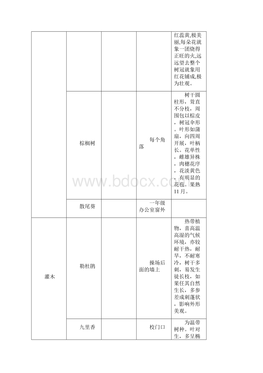 四年级 综实指南教案.docx_第3页