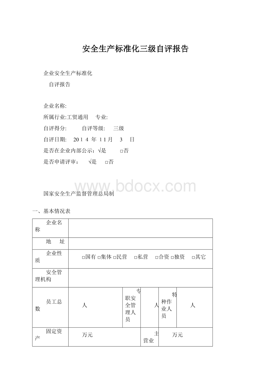 安全生产标准化三级自评报告.docx_第1页