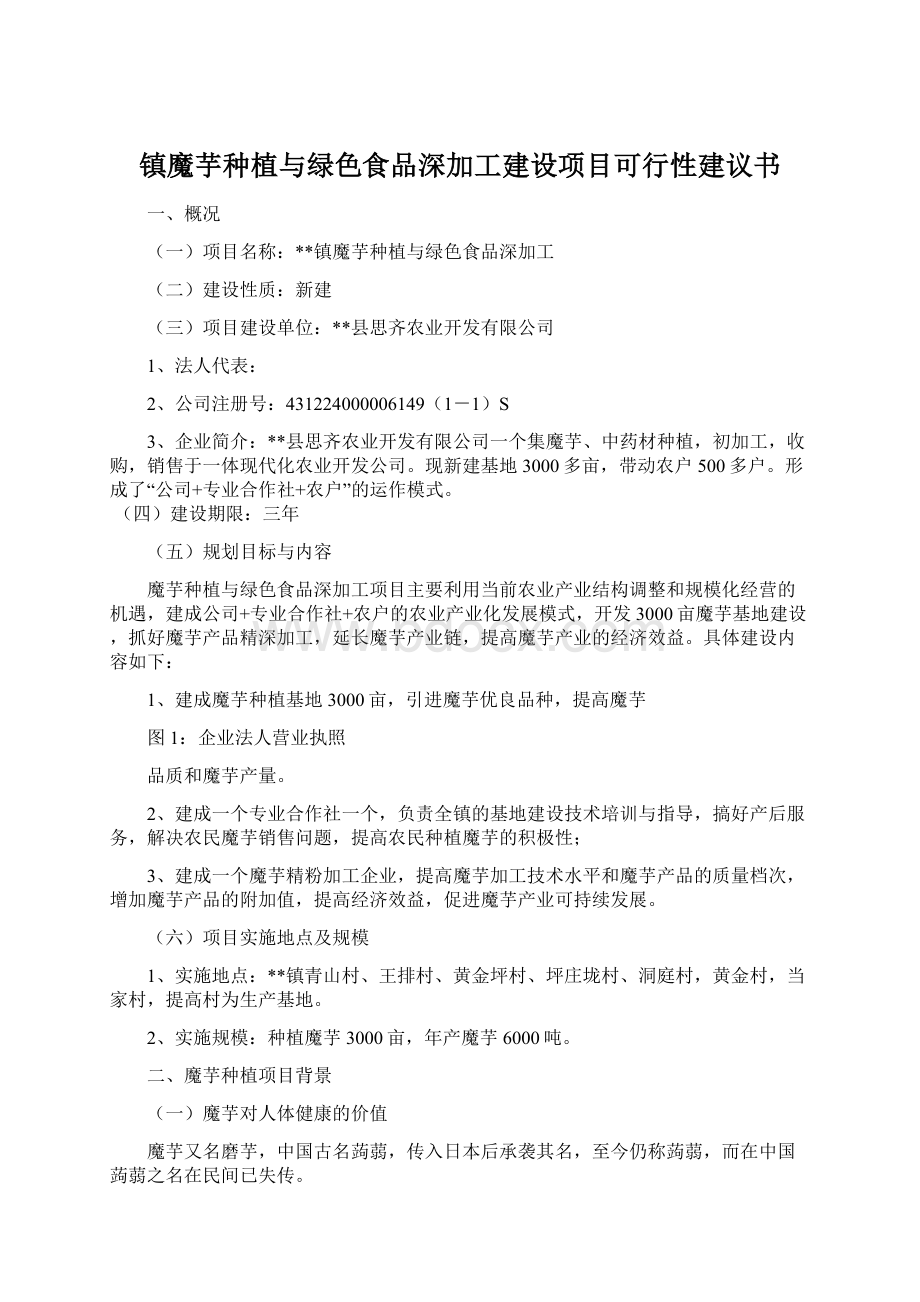 镇魔芋种植与绿色食品深加工建设项目可行性建议书Word文档格式.docx