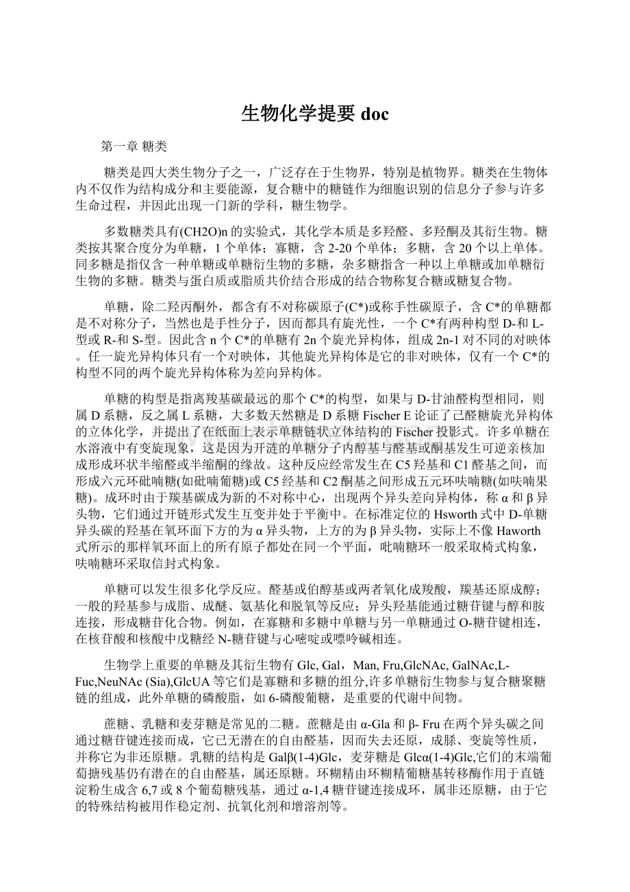 生物化学提要docWord下载.docx