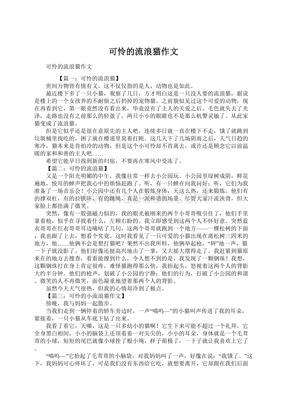 可怜的流浪猫作文Word格式文档下载.docx