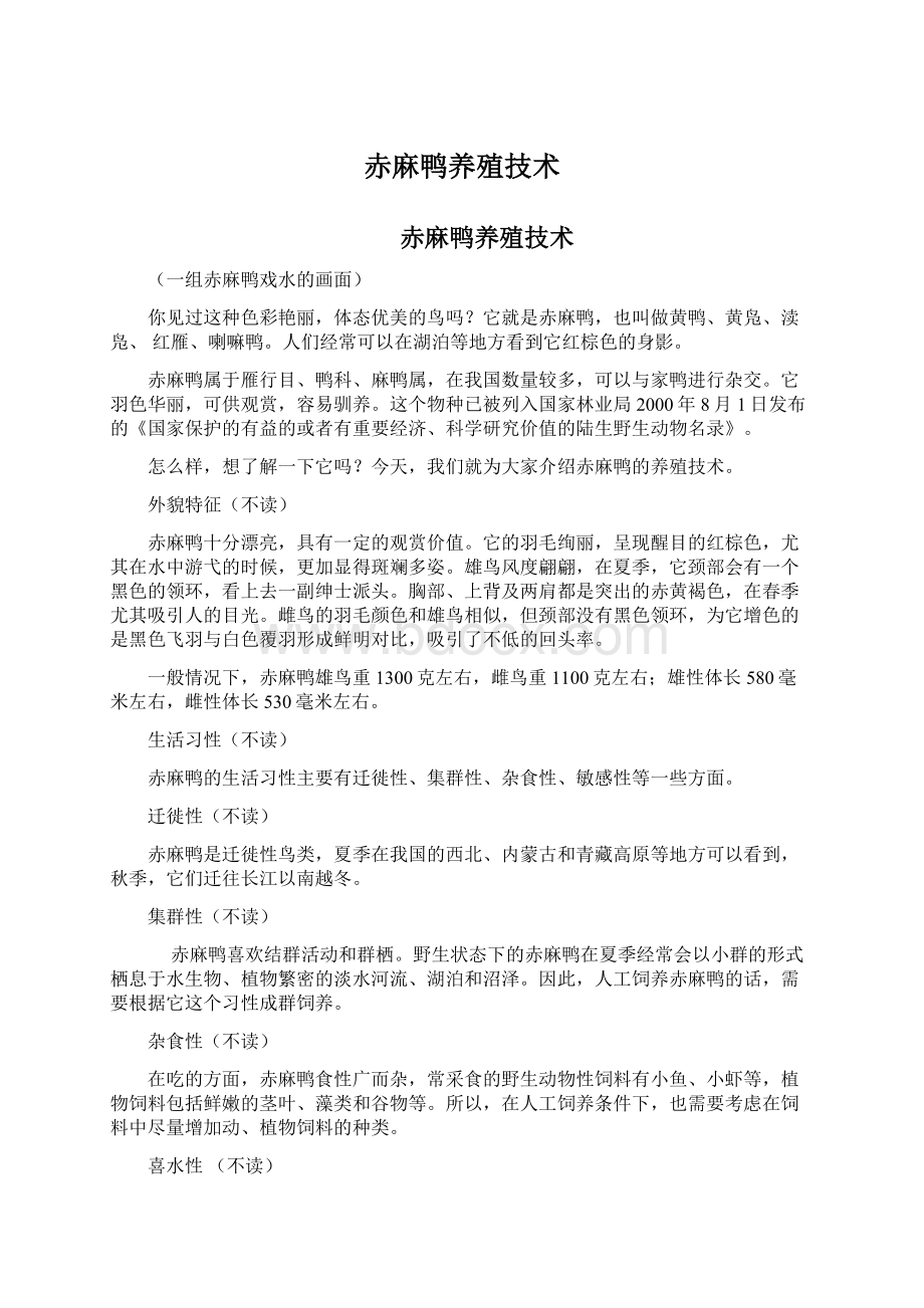 赤麻鸭养殖技术Word文件下载.docx