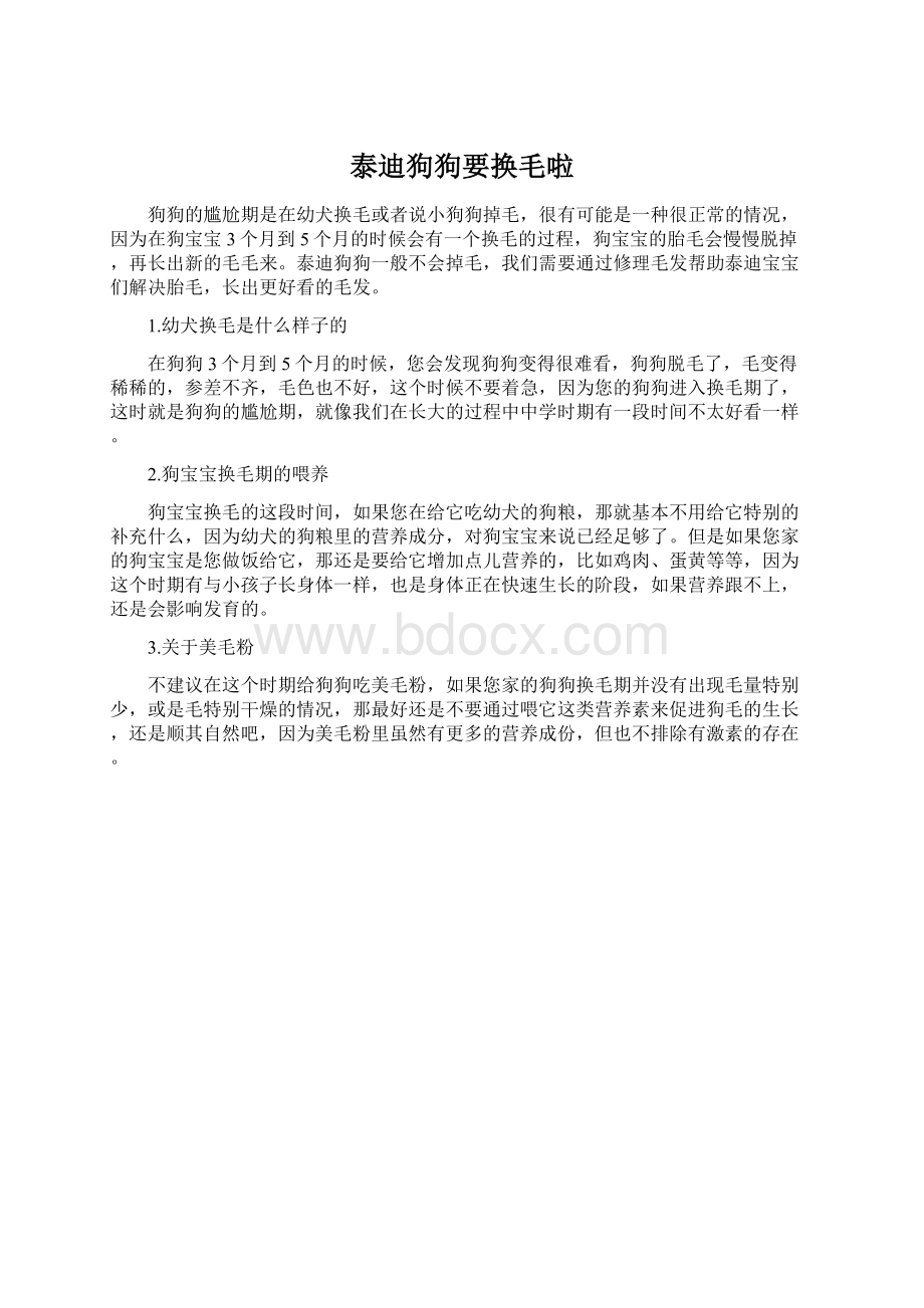 泰迪狗狗要换毛啦文档格式.docx