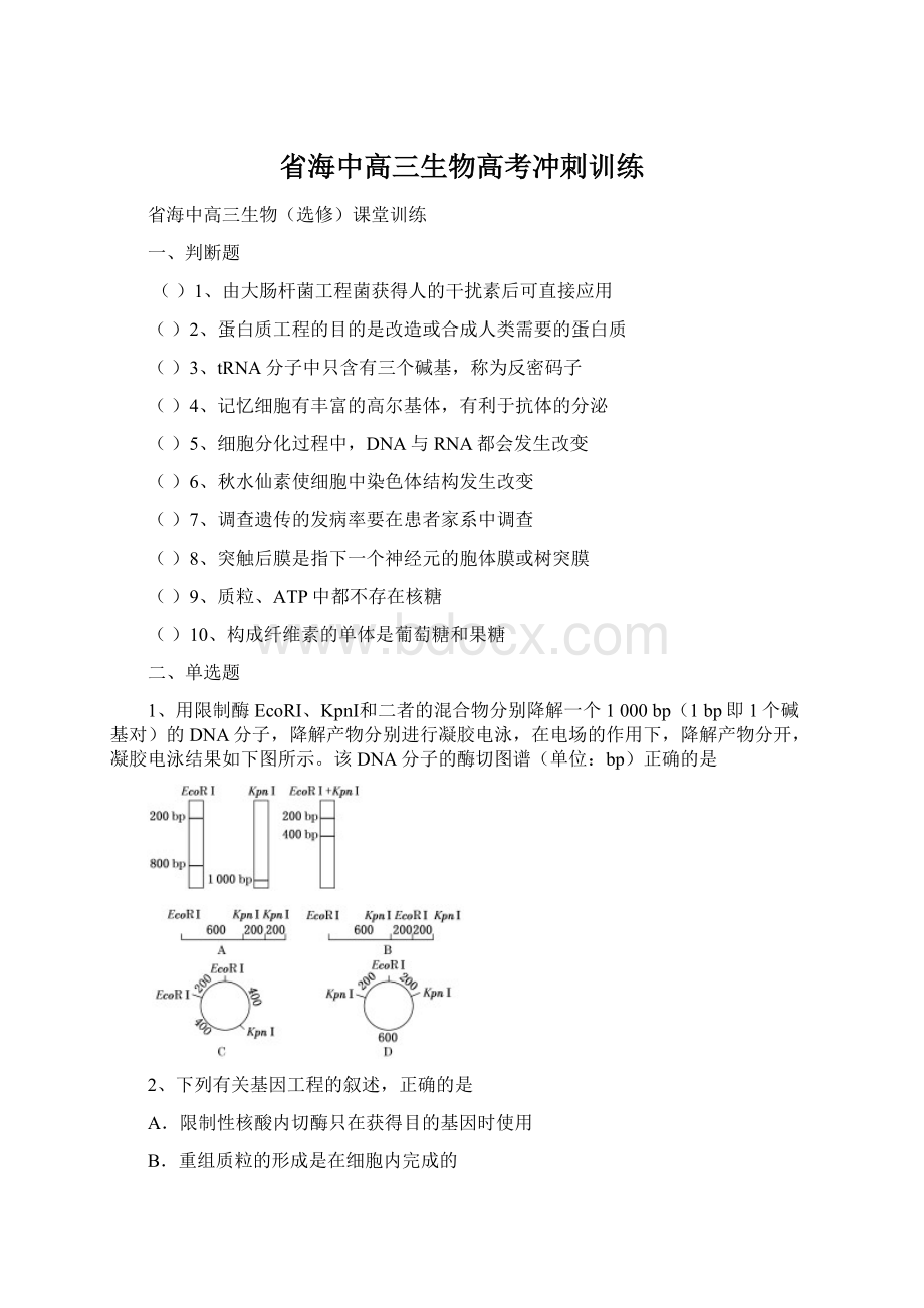 省海中高三生物高考冲刺训练.docx