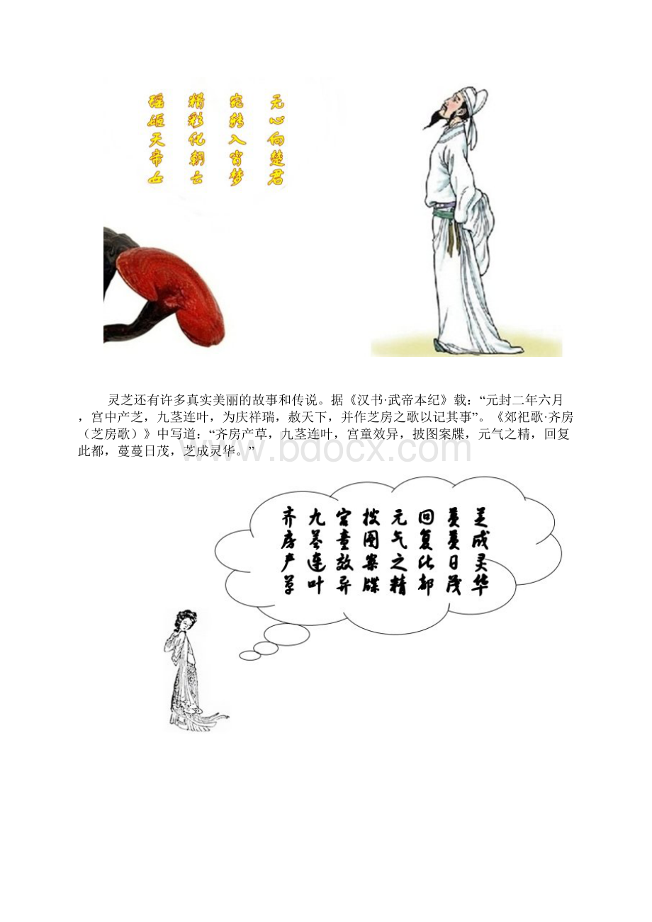 灵芝的传说Word格式文档下载.docx_第3页