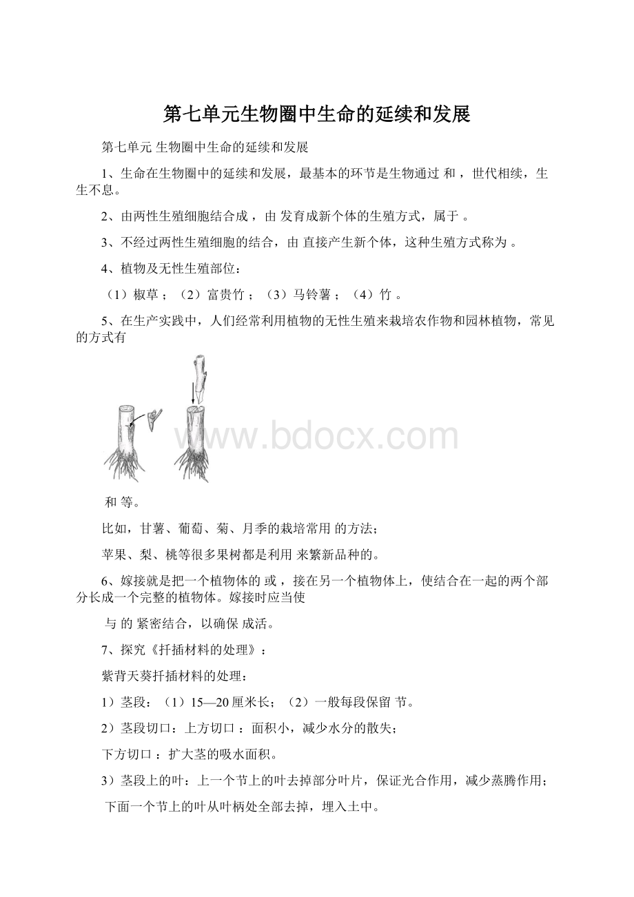 第七单元生物圈中生命的延续和发展Word文档格式.docx