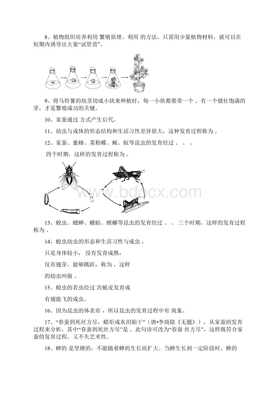 第七单元生物圈中生命的延续和发展.docx_第2页