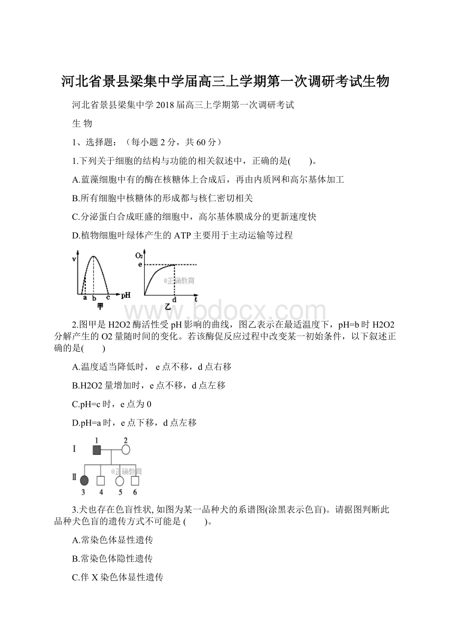 河北省景县梁集中学届高三上学期第一次调研考试生物Word格式文档下载.docx