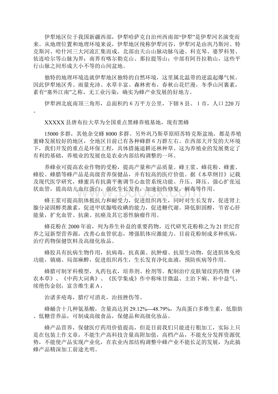 精品蜂产品精加工项目可研报告Word下载.docx_第2页