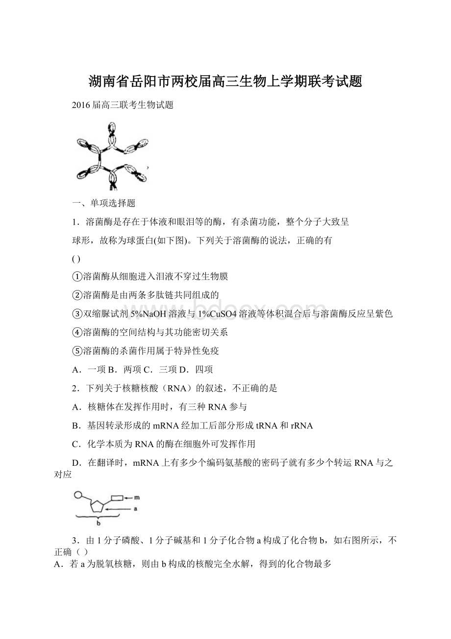 湖南省岳阳市两校届高三生物上学期联考试题.docx