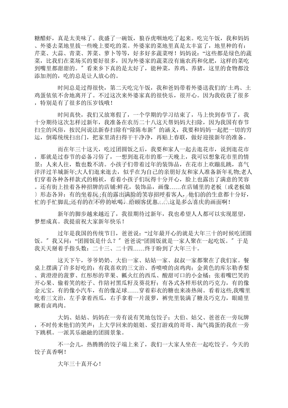 中小学快乐新年三年级作文文档格式.docx_第3页