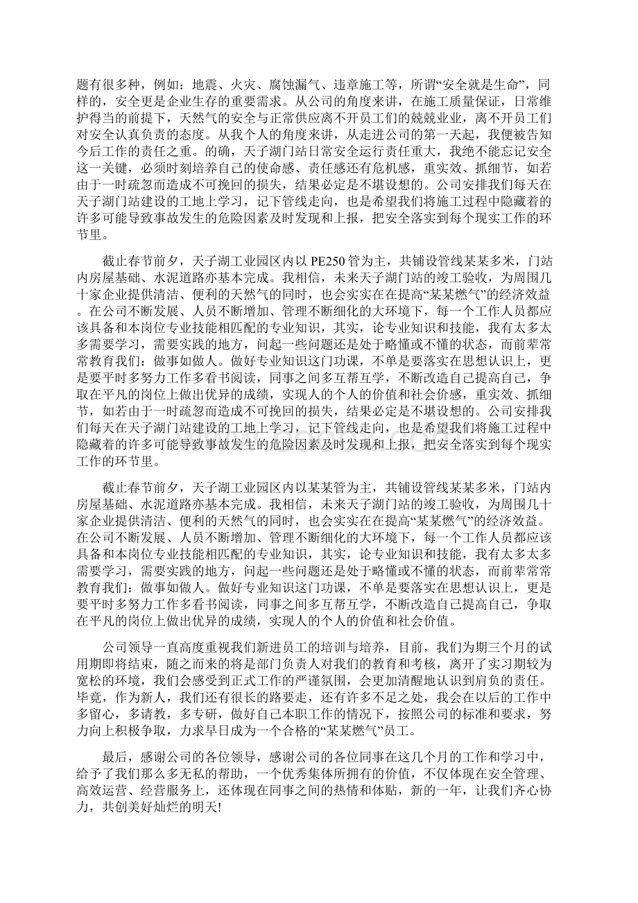 燃气普通员工试用期工作总结范文Word格式文档下载.docx_第2页