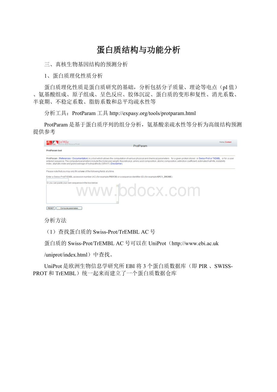 蛋白质结构与功能分析Word格式.docx