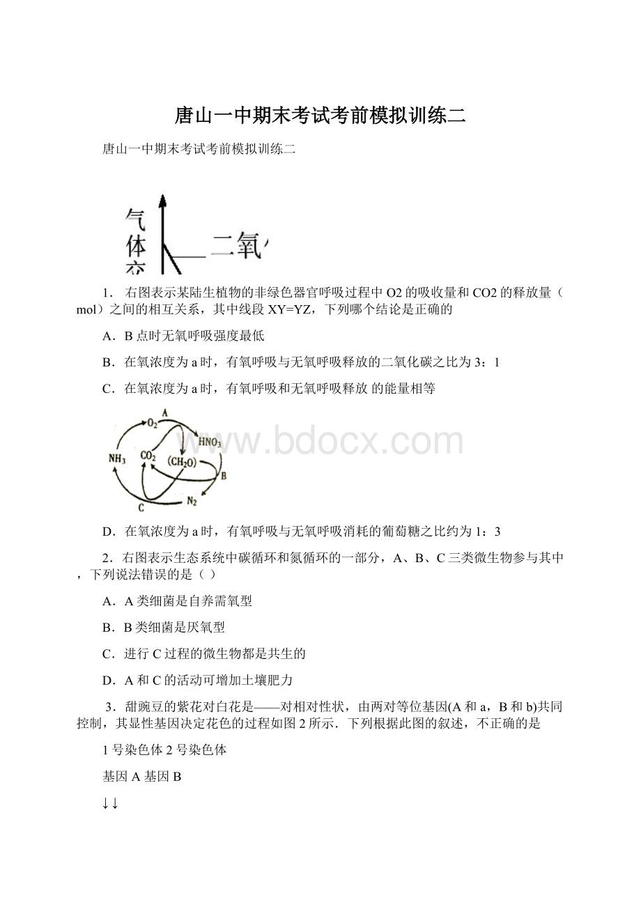 唐山一中期末考试考前模拟训练二Word文档下载推荐.docx