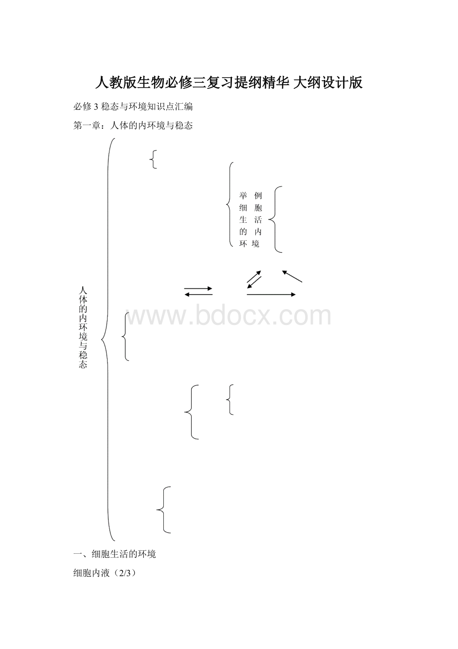 人教版生物必修三复习提纲精华 大纲设计版Word文档格式.docx