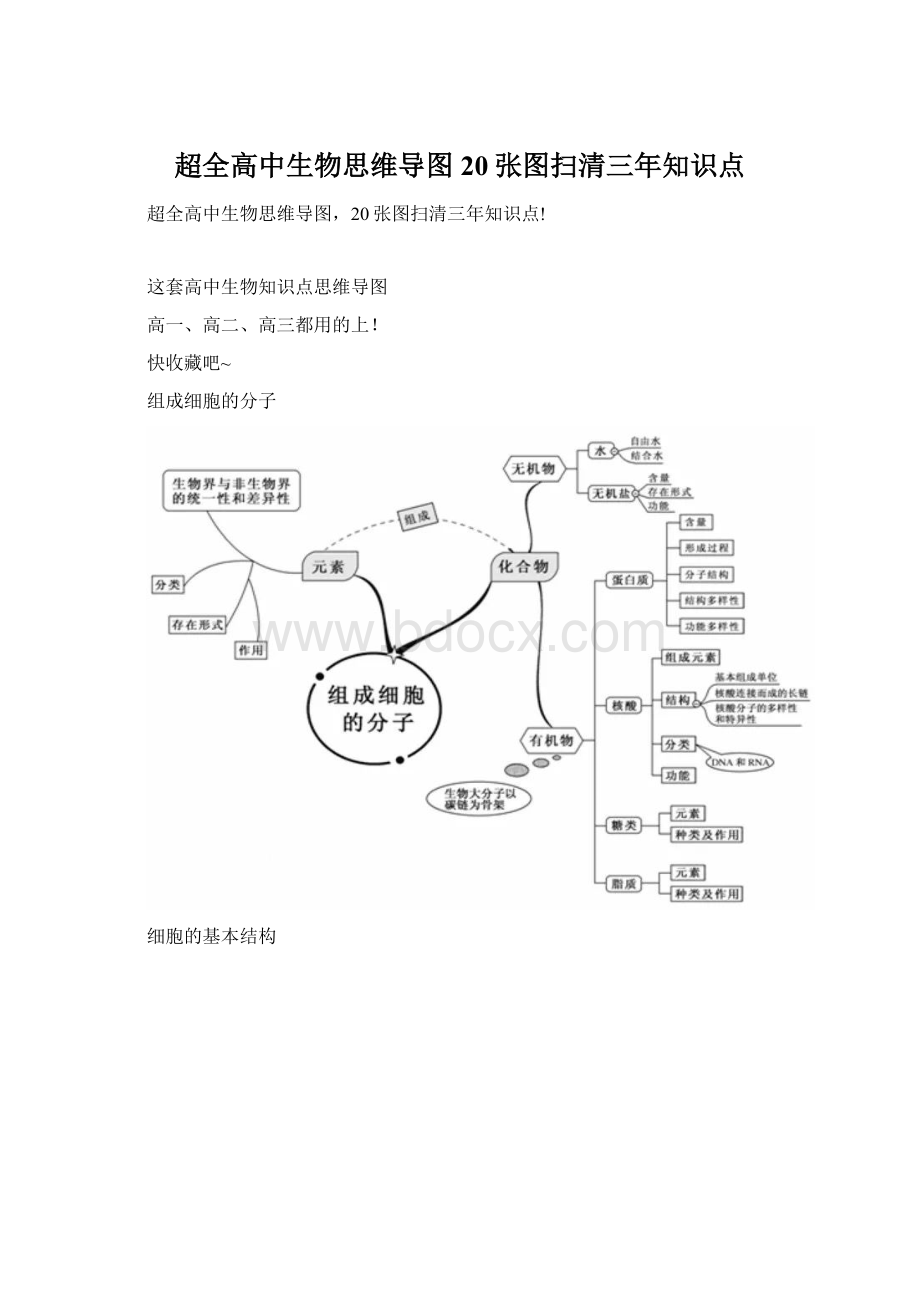 超全高中生物思维导图20张图扫清三年知识点.docx_第1页