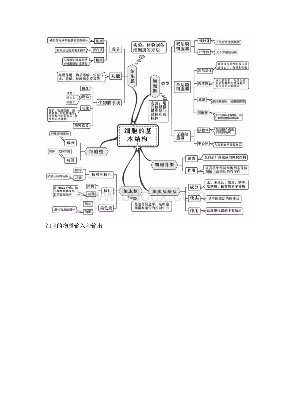 超全高中生物思维导图20张图扫清三年知识点.docx_第2页