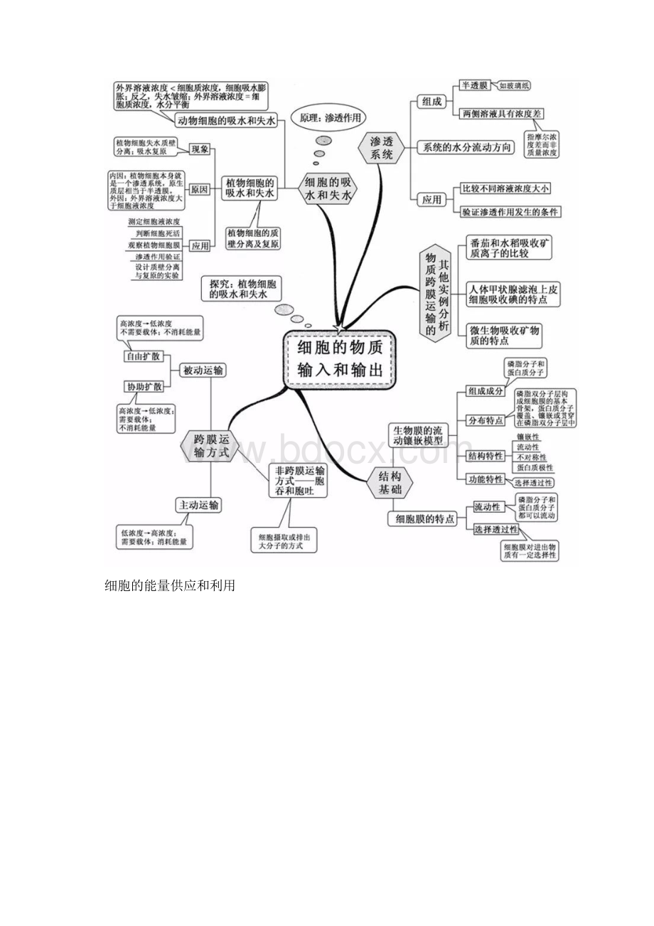 超全高中生物思维导图20张图扫清三年知识点.docx_第3页