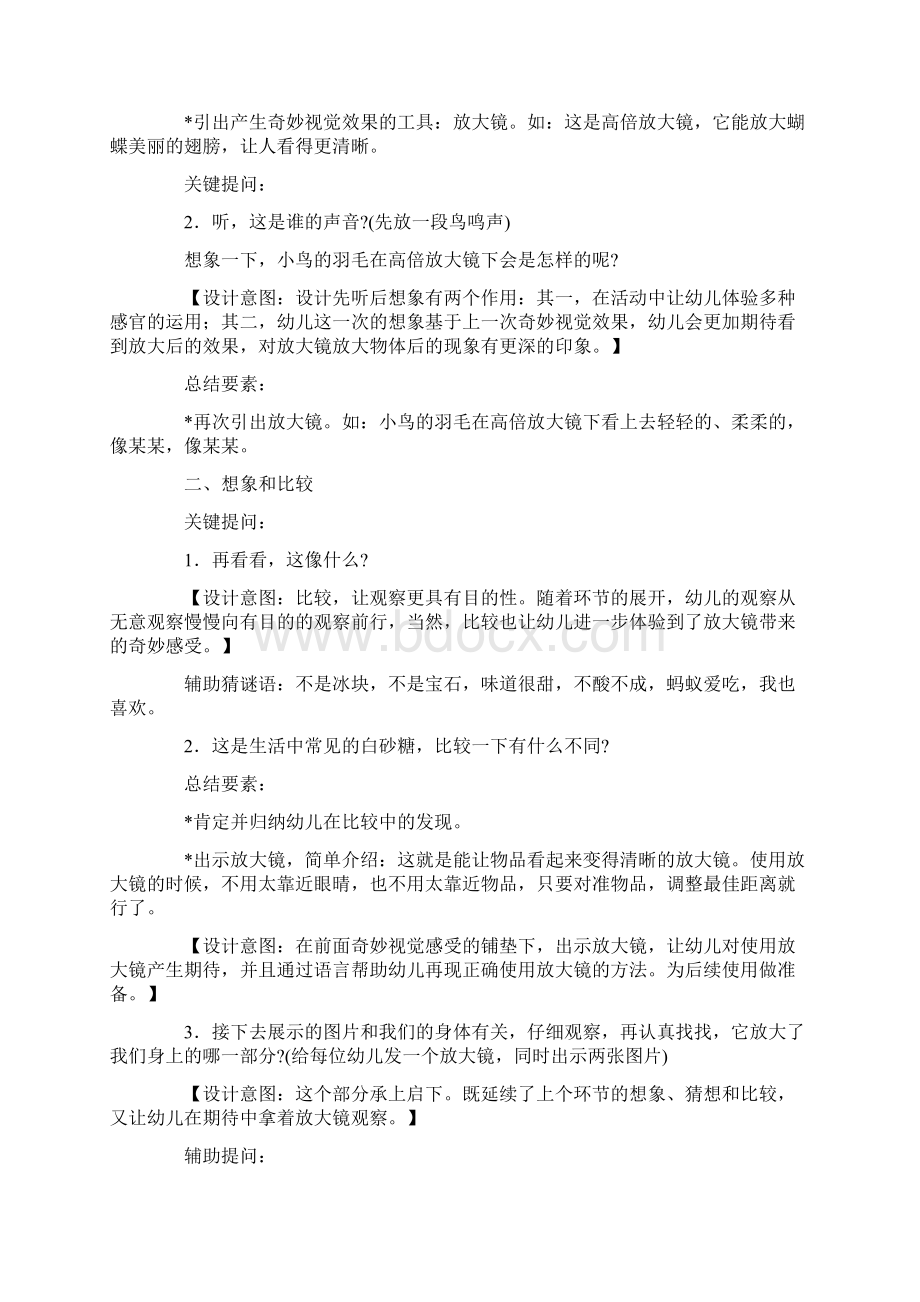 放大镜大班教案5篇Word格式文档下载.docx_第3页