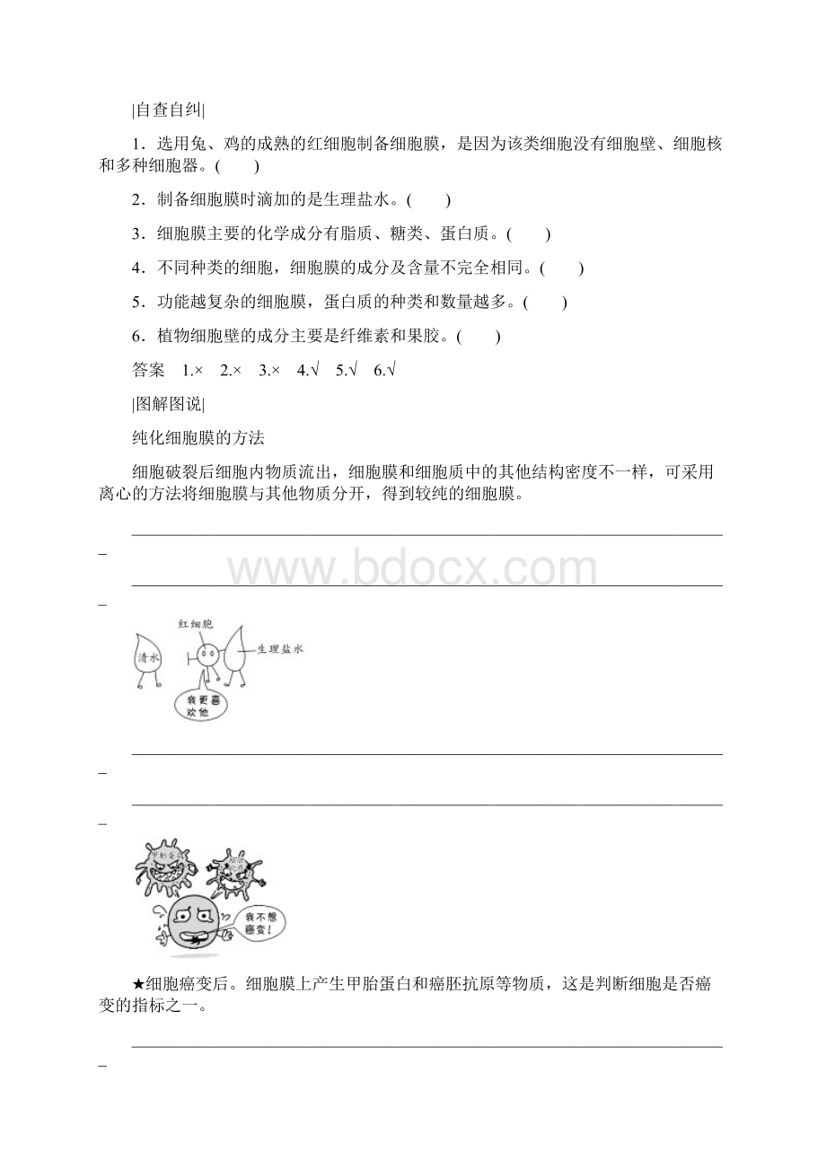 31 细胞膜系统的边界精品学案Word版含答案.docx_第3页