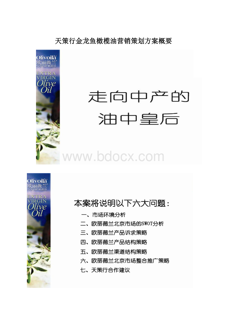 天策行金龙鱼橄榄油营销策划方案概要文档格式.docx