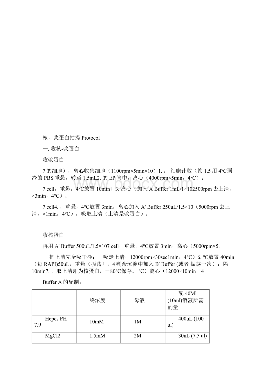 Loading Buffer煮细胞抽提总蛋白Protocol mRNA的分离纯化Word格式.docx_第2页