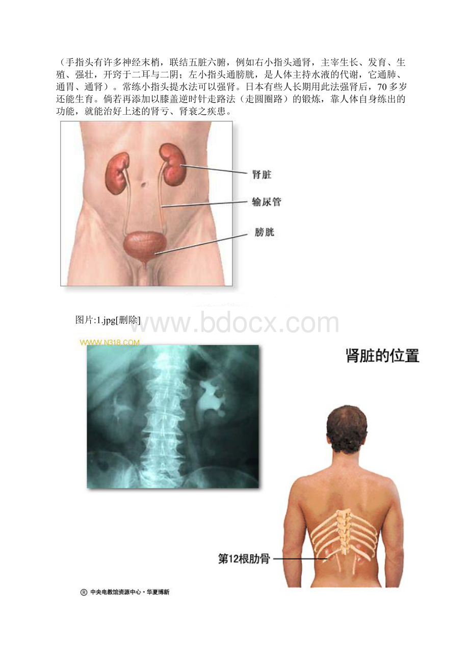 人体自身的神奇补肾法.docx_第3页