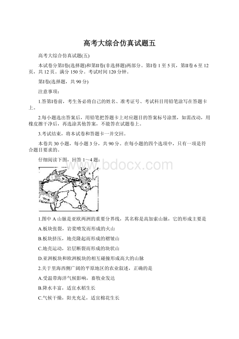 高考大综合仿真试题五.docx_第1页