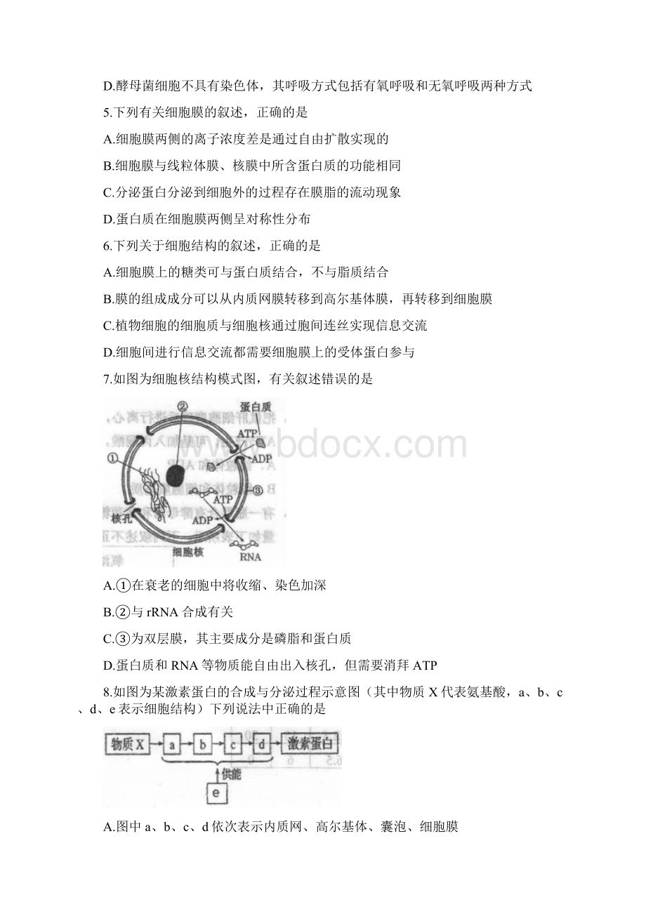 山东省青岛市城阳区学年高二下学期期末考试生物试题.docx_第2页