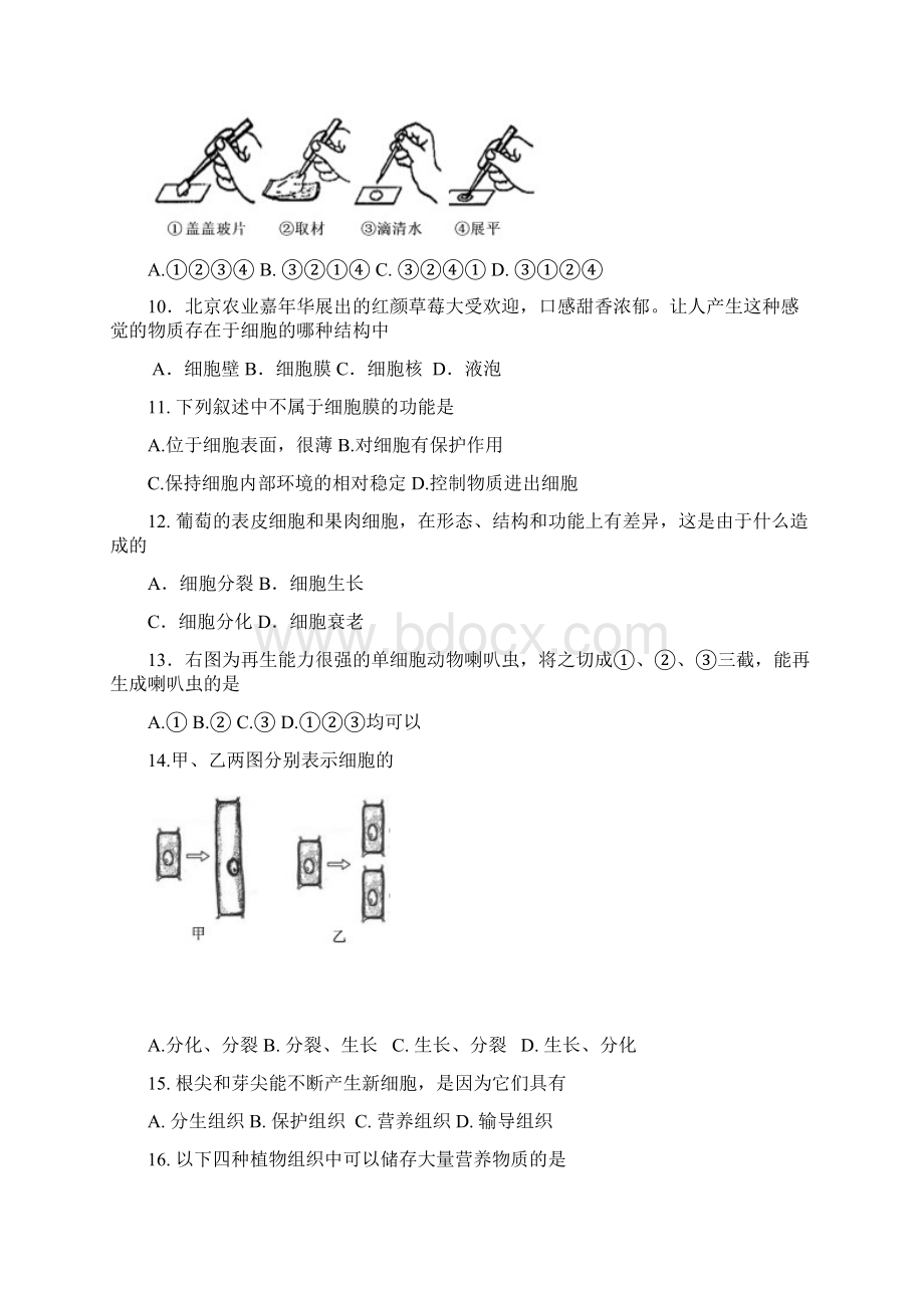 北京朝阳区017学第一学期期末检测.docx_第2页