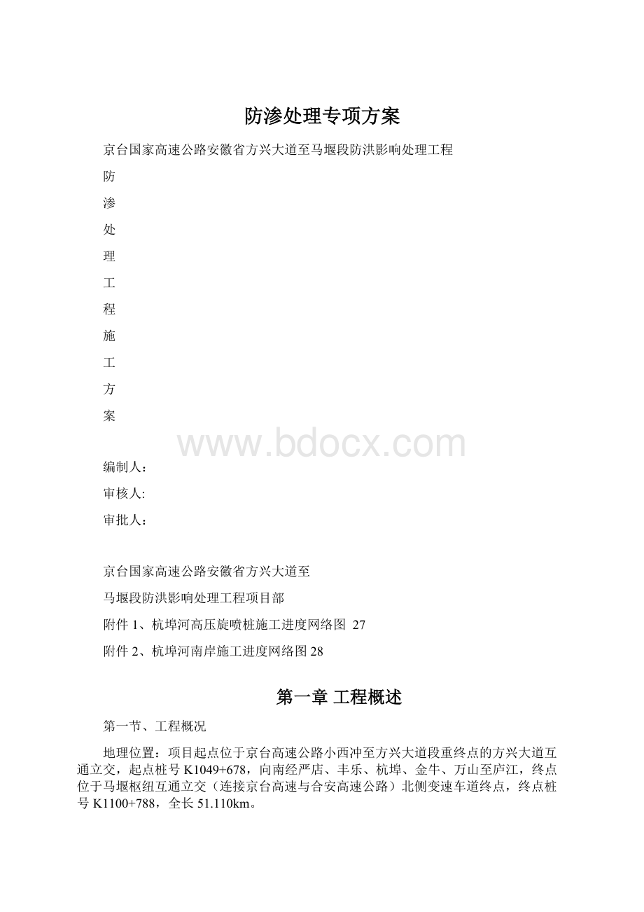 防渗处理专项方案Word下载.docx_第1页