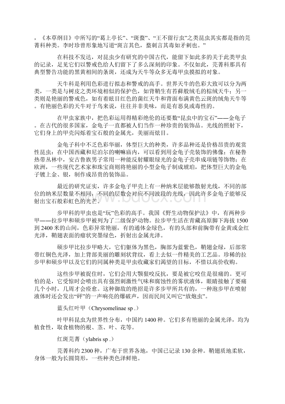 甲虫 昆虫世界的铁骑士Word文件下载.docx_第2页