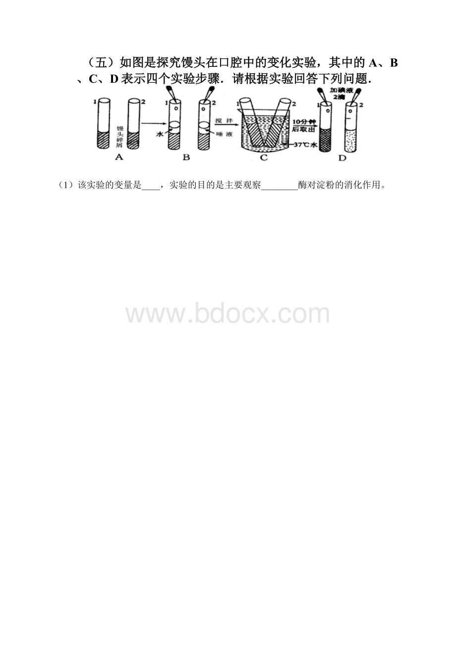 生物三十八起5.docx_第3页