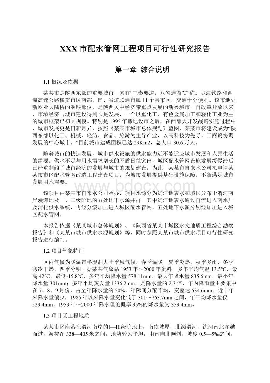 XXX市配水管网工程项目可行性研究报告Word格式.docx_第1页