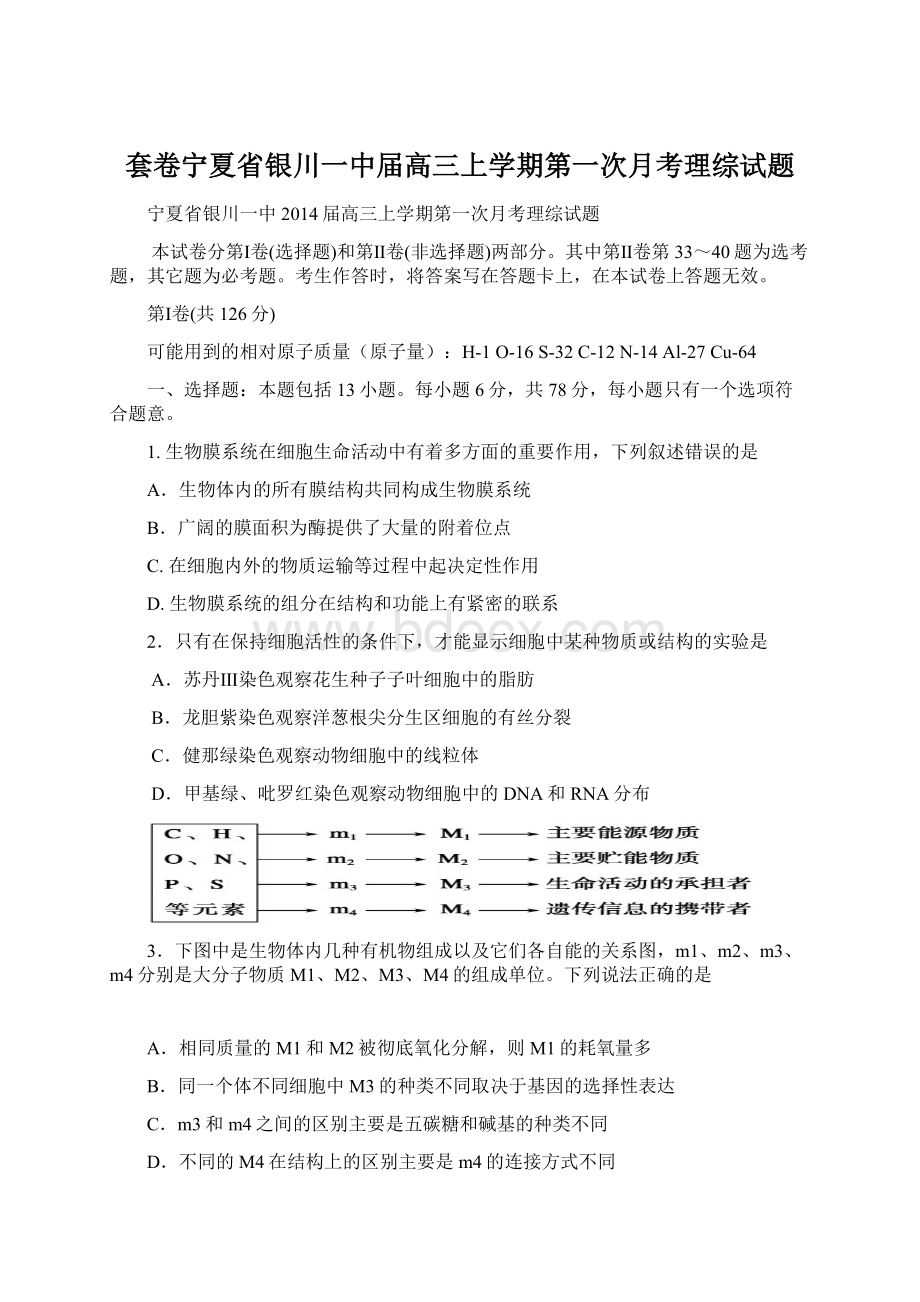 套卷宁夏省银川一中届高三上学期第一次月考理综试题.docx_第1页