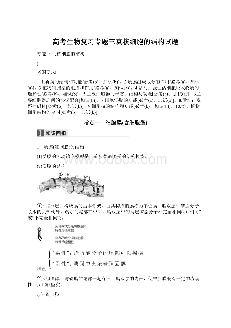 高考生物复习专题三真核细胞的结构试题.docx